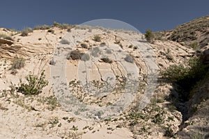 Sandy eroded cliff face