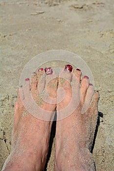 Sandy feet with red toenails on the beach
