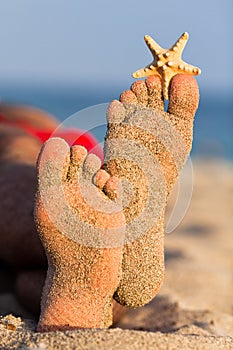 Sandy feet with starfish.