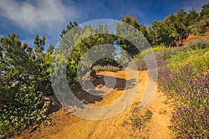 Sandy footpath in Garajonay national park