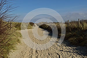 Sandy footpath and hiking trail through the sand dunes by the North Sea at Domburg, Netherlands under a blue winter sky