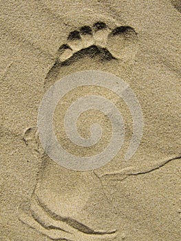 Sandy Footprint