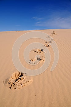 Sandy Footprints