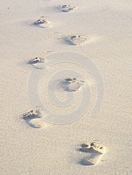 Sandy footprints on a Cornish Beach