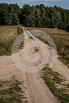 Sandy forest road in europe.