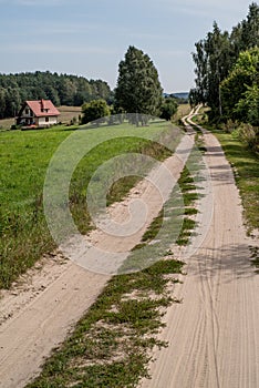 Sandy forest road in europe.