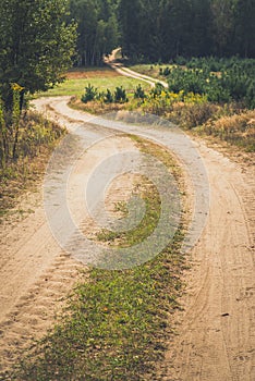 Sandy forest road in europe.