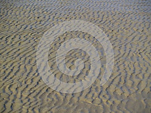Sandy ground of mudflat