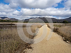 Sandy Hiking Trail Along California Coast