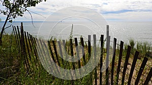 Sandy Island Beach sand dune restoration fence