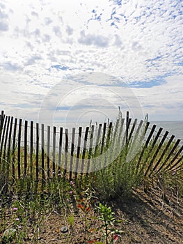 Sandy Island sand dune fence shadows