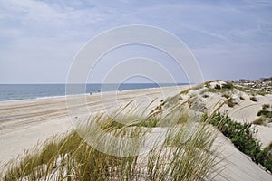 The sandy landscape of Coto de Donana National Park. photo