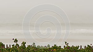 Sandy misty beach California USA. Pacific ocean coast, dense fog on sea shore. Waves in brume haze.