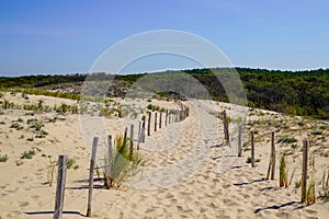 Sandy nature path way access to the beach sea with fence in summer