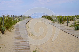 Sandy nature path way access to the beach sea with fence in summer to Cap-Ferret sea atlantic coast in gironde france