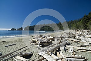 Sandy pacific beach