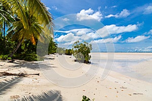 Sandy paradise beach of azure turquoise blue shallow lagoon, North Tarawa atoll, Kiribati, Gilbert Islands, Micronesia, Oceania. photo
