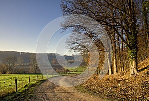 Sandy path close to the Dutch city Maastricht