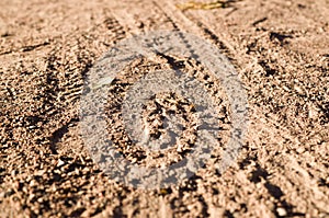 Sandy path with cycle bike tracks with perspective. background, texture