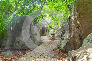 Sandy path with granite rocks and tropical vegetation in Anse Source d\'Argent