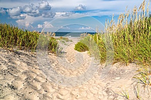 sandy path among the grass to the ocean. The sand dune is covered in seagrass