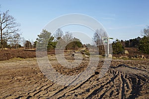 Sandy path leads into a heathland