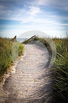 sandy path leads over the dunes to the Baltic Sea beach