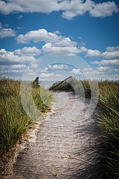 sandy path leads over the dunes to the Baltic Sea beach