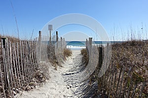 Sandy Path Leads to the Beach