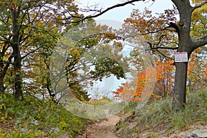 Sandy Path through oak trees in autumn colors
