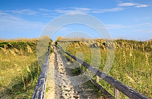 Sandy Path to the Beach