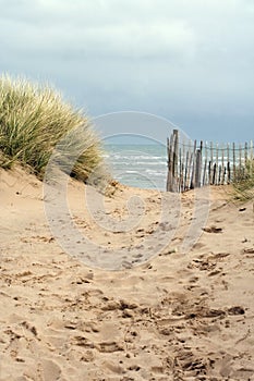 Arenoso El camino sobre el Playa 