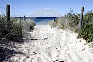 Sandy Path to the Beach
