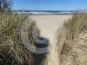 Sandy path to the beach along the Oregon Coast