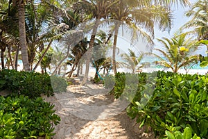 Sandy path to a caribbean beach, Tulum, Mexico