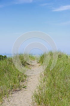 Sandy Path to a Maine Beach in Summer