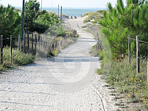 Sandy path way access to beach in Verdon-sur-mer Medoc in France