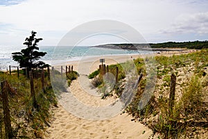 Sandy pathway access to french sea beach of atlantic ocean in summer day