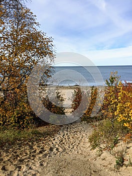 A sandy pathway through the autumn foliage leading to the still