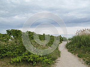 Sandy pathway on the beach with green vegetation in natural conservation area
