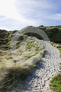 A sandy pathway leading the way to Wharariki Beach