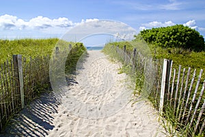 Sandy pathway to beach