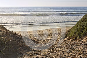 Sandy pathway to the beach