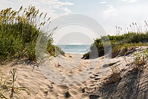 Sandy Pathway to Coquina Beach at Nags Head, North Carolina photo