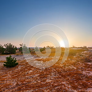 sandy prairie at the early morning