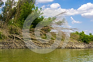 Sandy reef and the river of Danube in Hungary