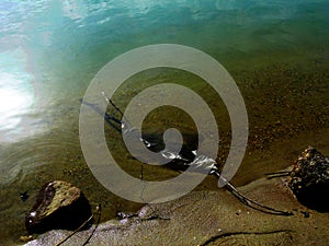 Sandy river edge with plastic garbage bag floating. environment issues