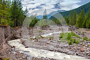 Sandy River in Mount Hood National Forest