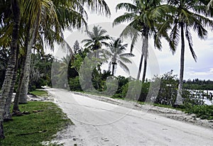 Sandy road at a florida waterway in the backcountry