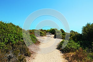 Sandy road at Karidi beach Vourvourou, Greece